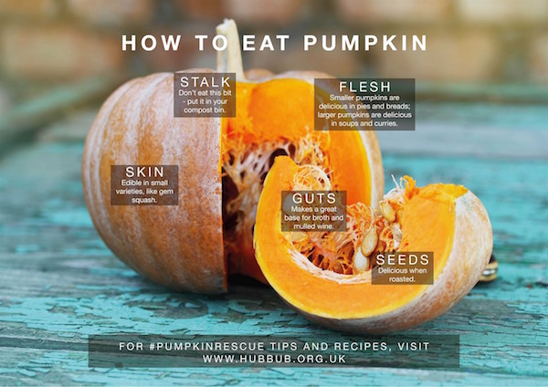 Hubbub's flyer how to eat pumpkin